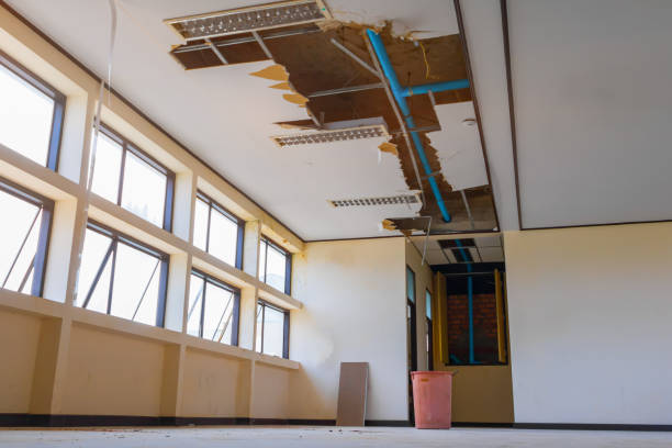 Best Professional water damage repair  in Millcreek, UT