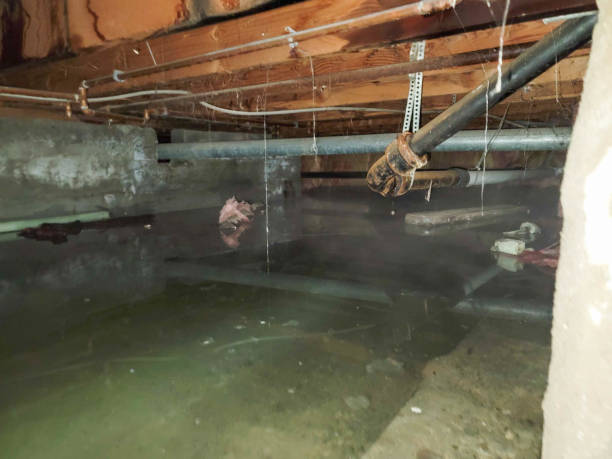 Best Flooded house restoration  in Millcreek, UT