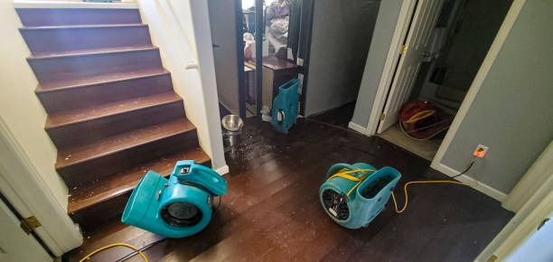 Best Carpet water damage restoration  in Millcreek, UT