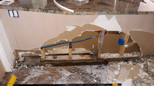 Best Sewage cleanup and water damage restoration  in Millcreek, UT