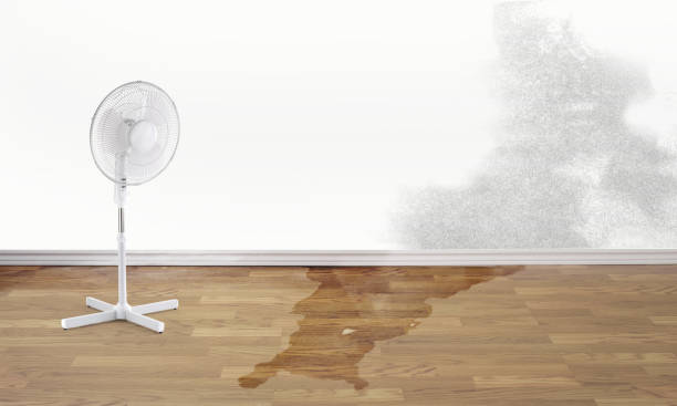 Best Residential water damage restoration  in Millcreek, UT