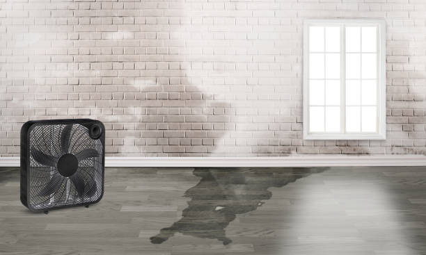 Best 24-hour water damage restoration  in Millcreek, UT