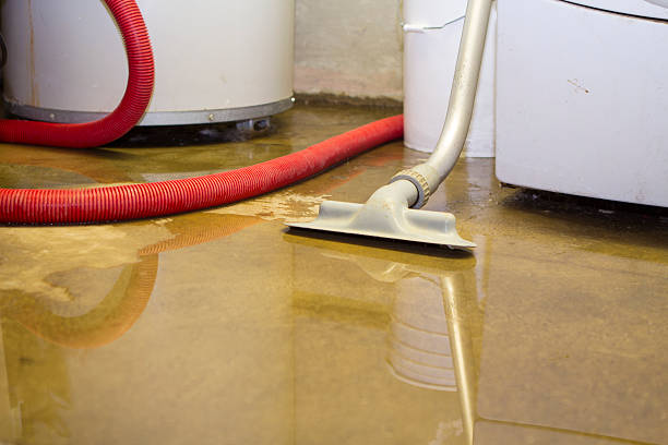 Best Carpet water damage restoration  in Millcreek, UT