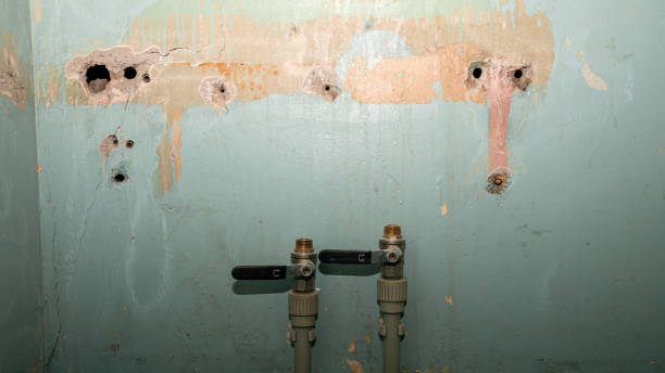 Best Mold removal after water damage  in Millcreek, UT