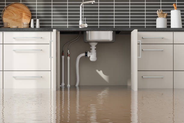 Best Water damage restoration cost  in Millcreek, UT