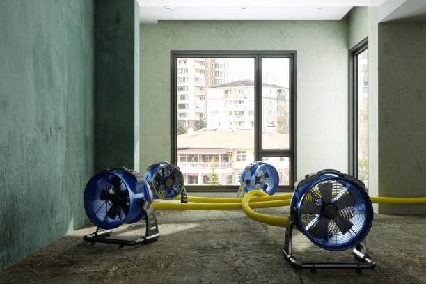 Best Water damage restoration near me  in Millcreek, UT