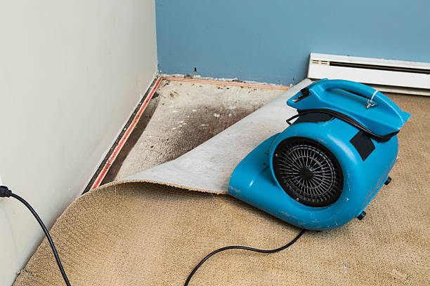 Best Ceiling water damage repair  in Millcreek, UT